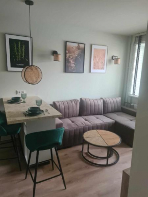Senamiesčio Bangų Apartamentai
